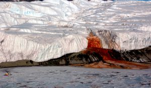 Top 10 Amazing Things In Nature You Won’t Believe Actually Exist
