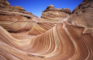 Top 10 Amazing Things In Nature You Won’t Believe Actually Exist